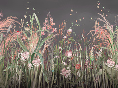 Meadow flowers_ЦКР04_pr.jpg