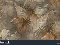 stock-photo-abstract-tropical-leaf-on-concrete-grunge-wall-floral-background-design-for-wallpaper-ph