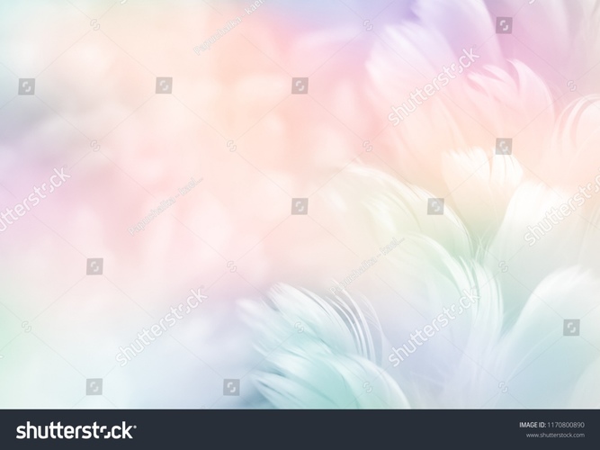 stock-photo-abstract-feather-rainbow-patchwork-background-closeup-image-of-white-fluffy-feather-under-colorful-1170800890