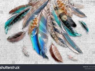 Colorful-feathers2047920491